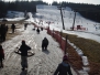 Schlittenfahrt im Schwarzwald