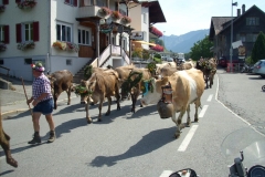 Brandnertal 2011d
