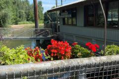 IMG-20230821-WA0006