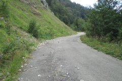 2-IMG_4557