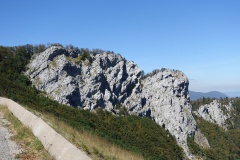 3-DSC00194