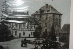 db_IMG_0773