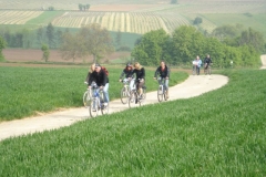 MF2009 107