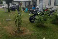 IMG-20220628-WA0025