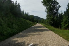 Bild-12-vom Donon-Richtung-Schirmeck